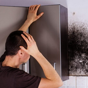 Mold Identification