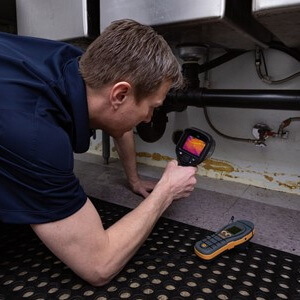 Mold Inspection